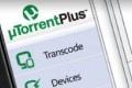 utorrent plus bittorrent
