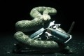 hitman absolution