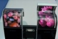 oled lg flexible oled