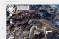 google maps street view google maps underwater