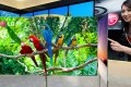 beats samsung oled race samsung lg television oled tv