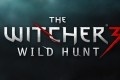 witcher wild hunt
