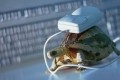 rite project european commission lag internet lag rite