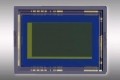 canon prototype sensor