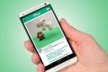 instagram vine- facebook vine