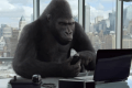 corning gorilla glass nbt laptop touch enabled