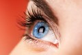eye eye-tracking retina iris