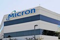 micron steve appleton mark durcan crucial