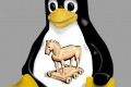 trojan linux