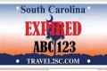california electronic license plate