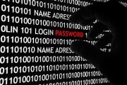 hackers vbulletin hacking zero-day vulnerability support forum