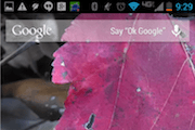 nexus nexus 5 google google home launcher google keyboard clock design kit kat