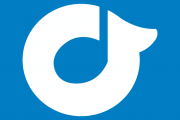 rdio tesla streaming music service auto integration