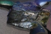 ibm lands darpa contract -destructing chips ibm