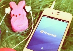 rhapsody napster echo nest spotify