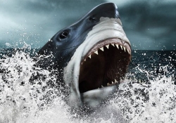 battlefield megalodon easter egg bf4 naval strike dlc map hunt dlc easter egg battlefield 4 bf4 megalodon naval strike