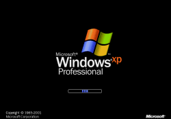 windows dutch microsoft windows xp