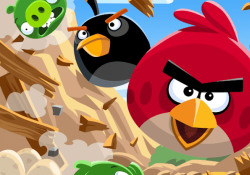 angry birds