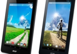 acer