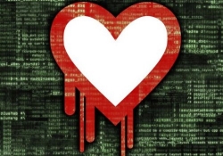 canada mumsnet heartbleed hack