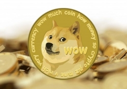 dogevault dogecoin cryptocurrency hack