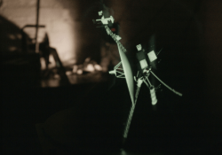 artists holograms installation 360 degree video objects chris helson sarah jackets