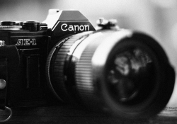 microsoft canon deal cross-licensing