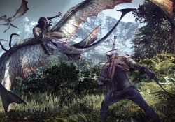 witcher