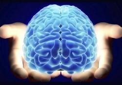 ibm darpa chip synapse defense advanced research projects agency human brain