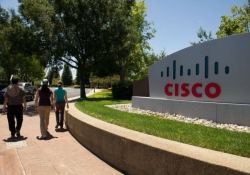 cisco