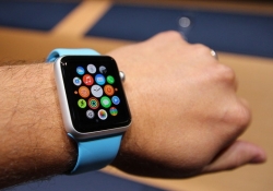 apple watch apple survey