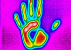 seek thermal ios android camera thermal imaging add-on thermal imaging camera