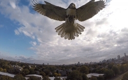 watch gopro drone found quadcopter phantom fc40 hawk