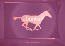 ubuntu