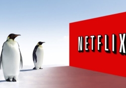 watch netflix linux ubuntu chrome