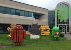android kitkat jelly bean gingerbread