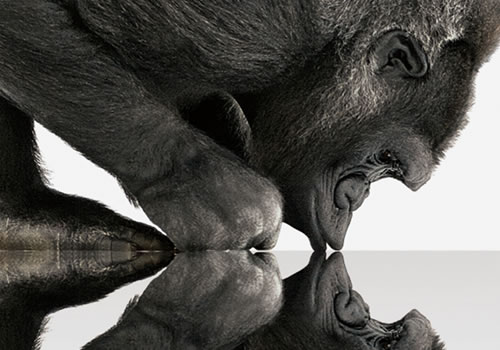 Corning Gorilla Glass 6 offers improved durability for next-gen mobile devices