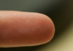 fingerprints security biometrics fingerprint reader chaos computer club