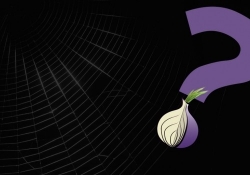 darpa developing search engine dark web search tor tor network deep web silk road memex hidden services indexing