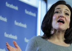 facebook linkedin technology industry facebok women