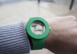 ants found ant watch analog watch company
