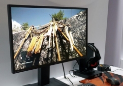 asus freesync ips amd display monitor gaming monitor