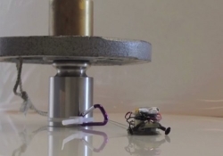 robot gecko tiny pull