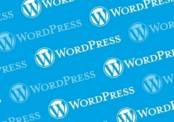wordpress security patch update