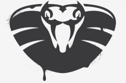 bigger heartbleed venom virtualbox virtual machine attack kvm datacenter vulnerability cyberattack hack hacker hypervisor crowdstrike ken