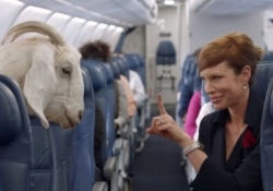 delta internet internet memes memes safety video