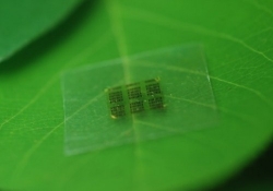 computer chips wood biodegradable wood chip
