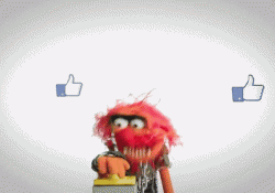 finally post gifs facebook social network news feed gif