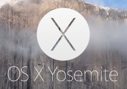 report vulnerability macs