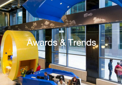 glassdoor employees google larry page ceo linkedin jeff weiner